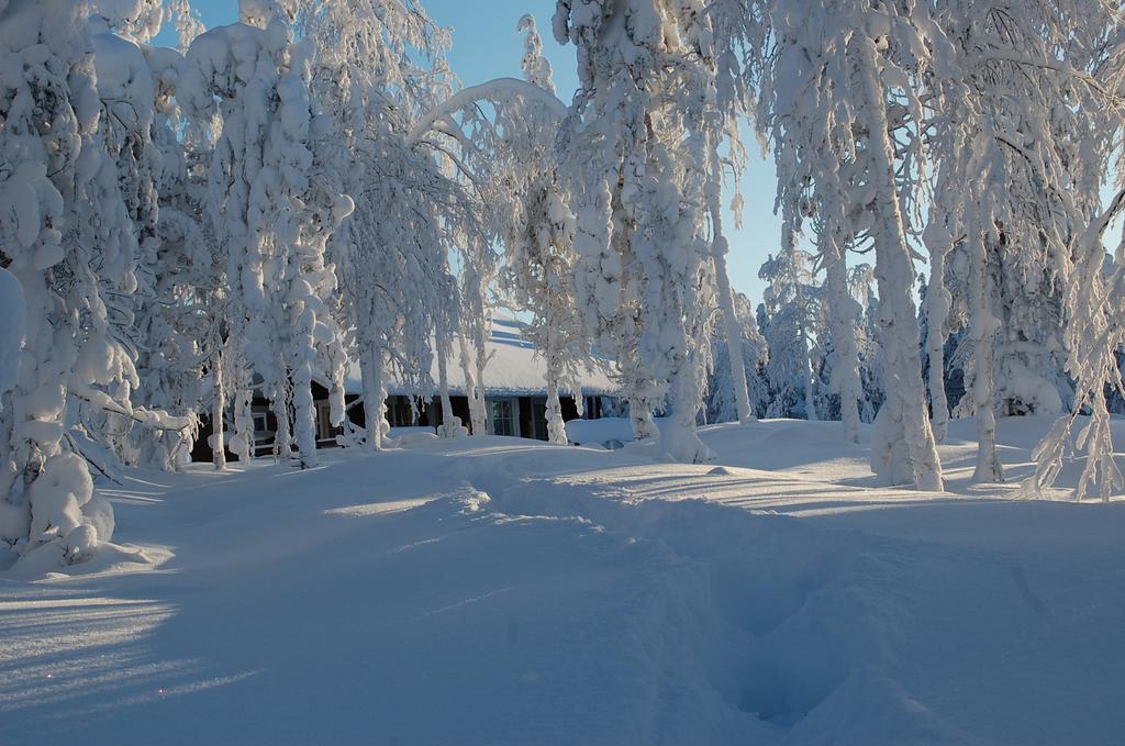 Rukanelioe Cottage Екстериор снимка