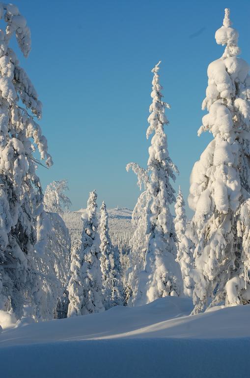 Rukanelioe Cottage Екстериор снимка