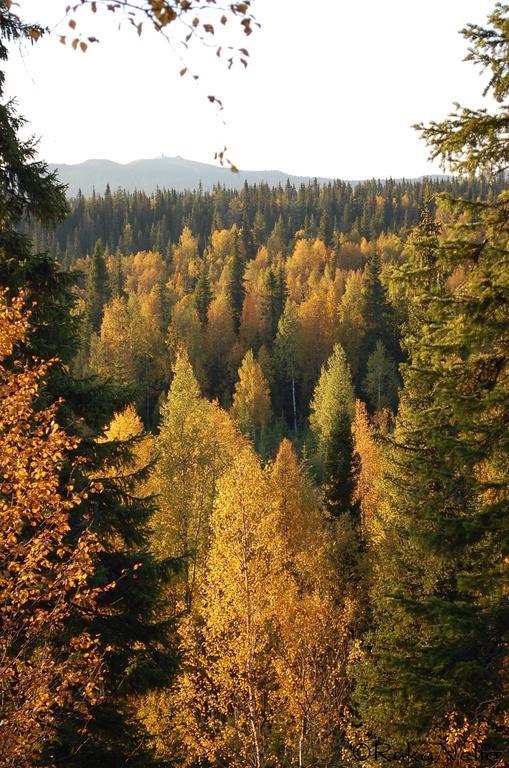 Rukanelioe Cottage Екстериор снимка